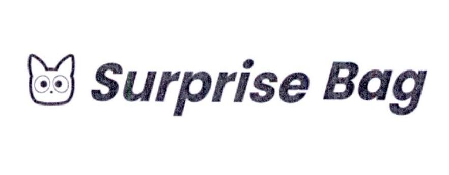 SURPRISE BAG