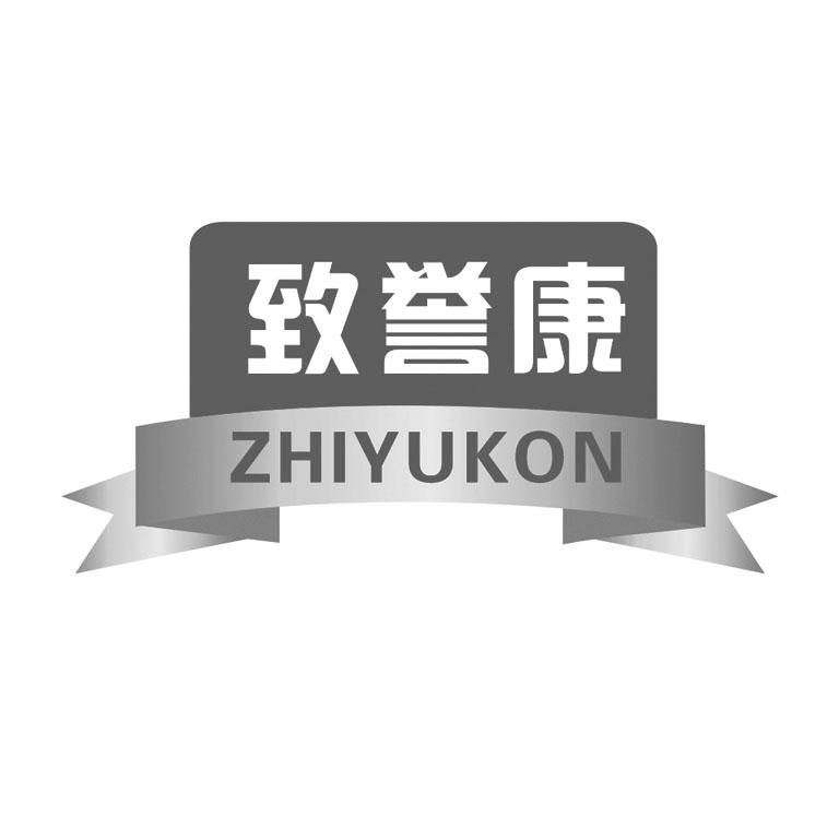 致誉康 zhiyukon