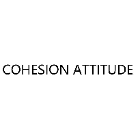 COHESION ATTITUDE
