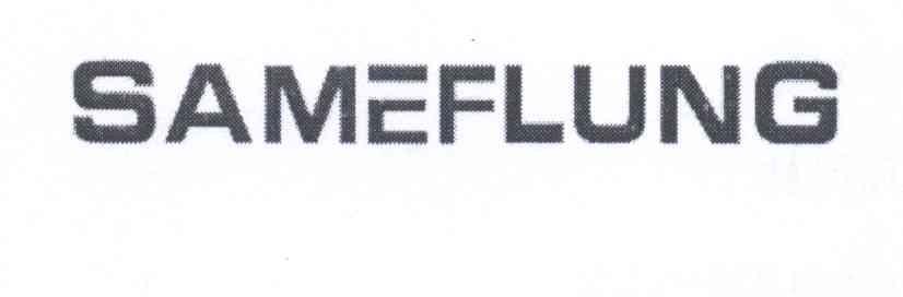 SAMEFLUNG