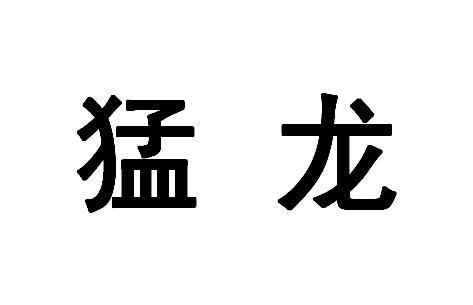 猛龙