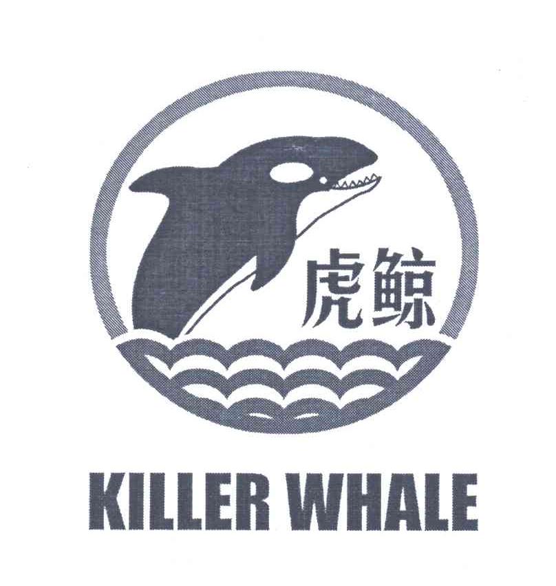 虎鯨;KILLER WHALE