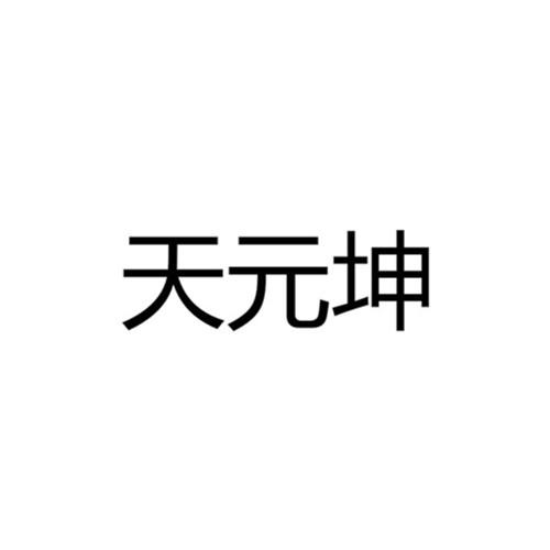 天元坤