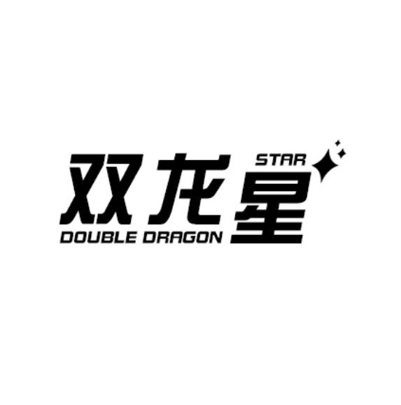 双龙星 DOUBLE DRAGON STAR