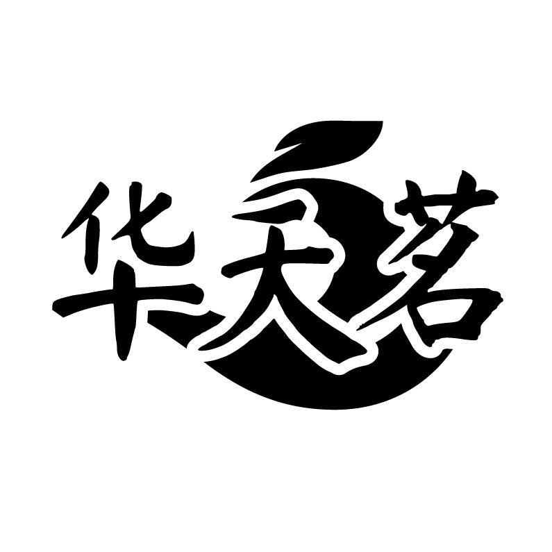华天茗