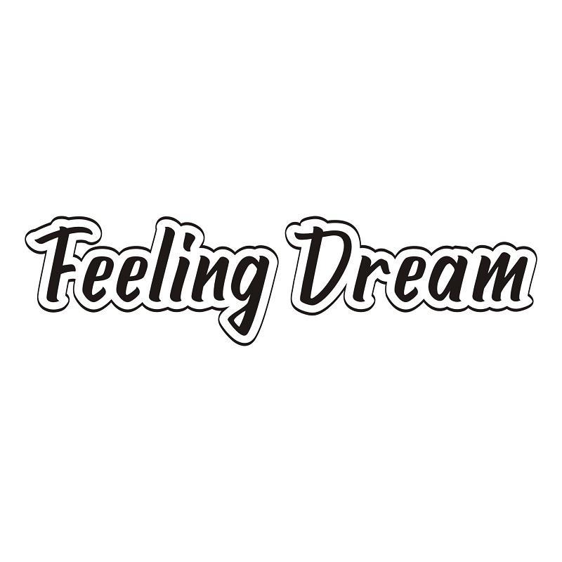 FEELING DREAM