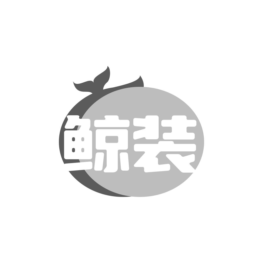 鲸装