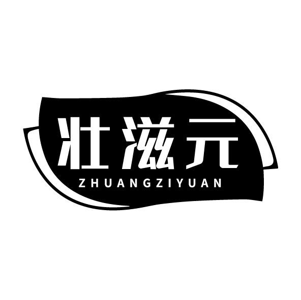 壮滋元