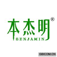 本杰明 BENJAMIN
