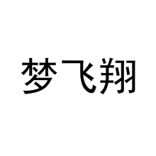 夢(mèng)飛翔