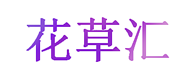 花草汇