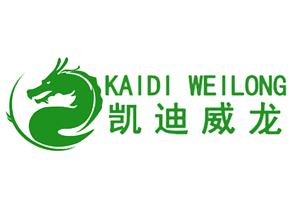 凯迪威龙