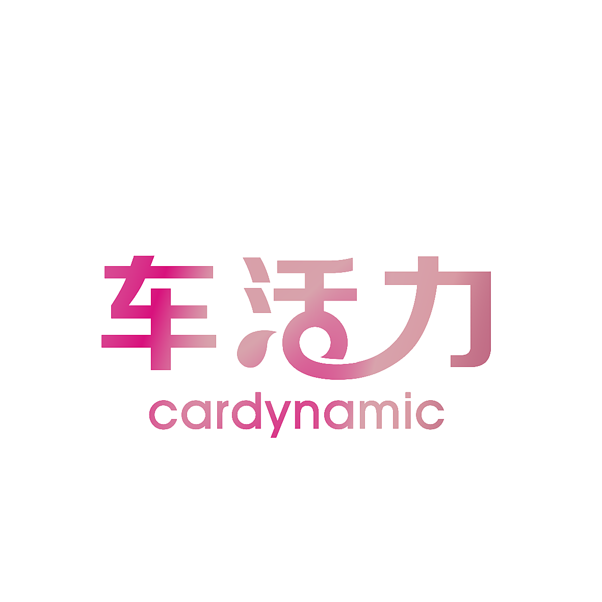 车活力 CARDYNAMIC