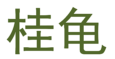 桂龟