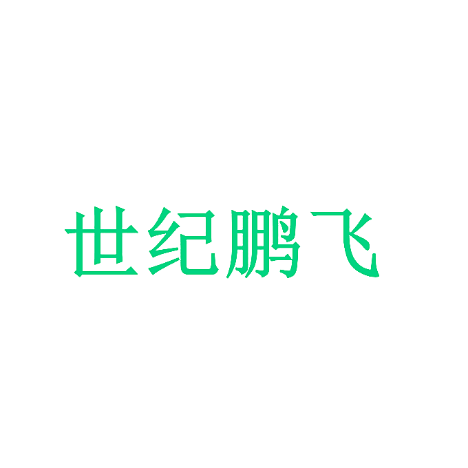 世纪鹏飞