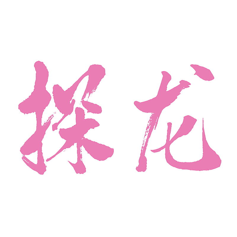 探龙