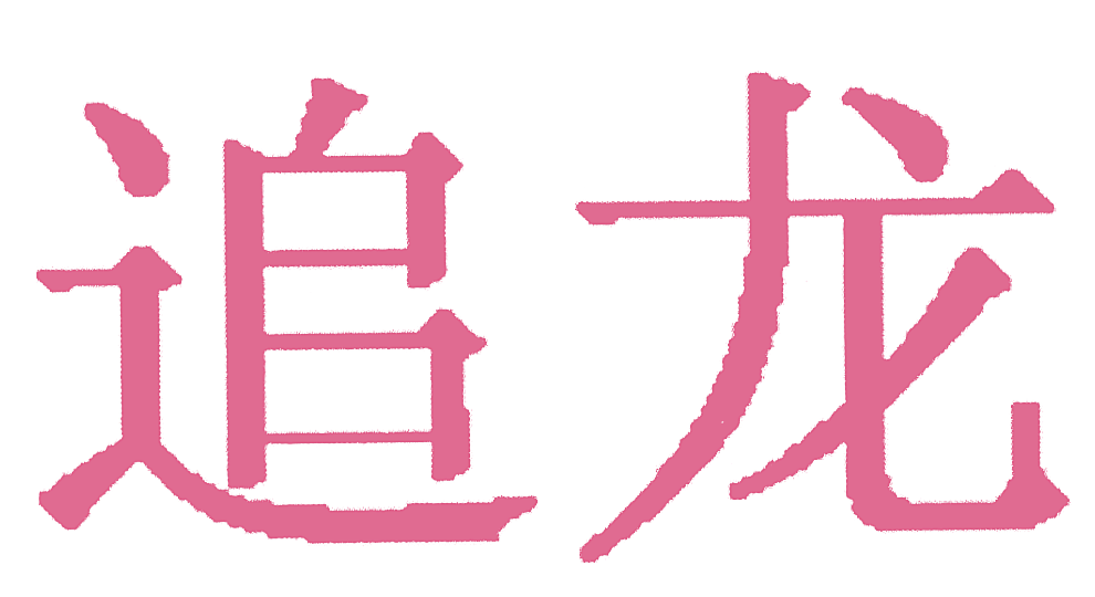 追龙