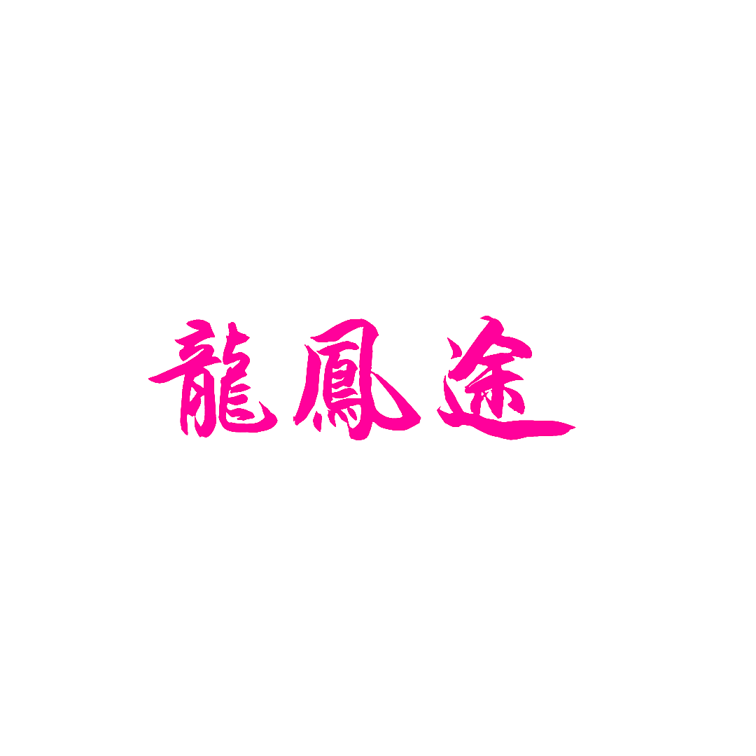 龙凤途