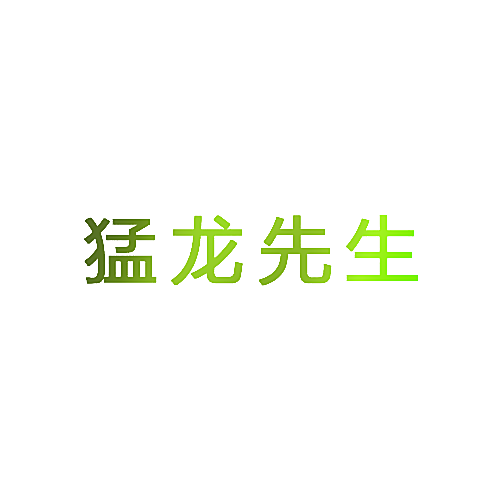 猛龙先生
