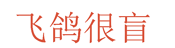 飞鸽很盲