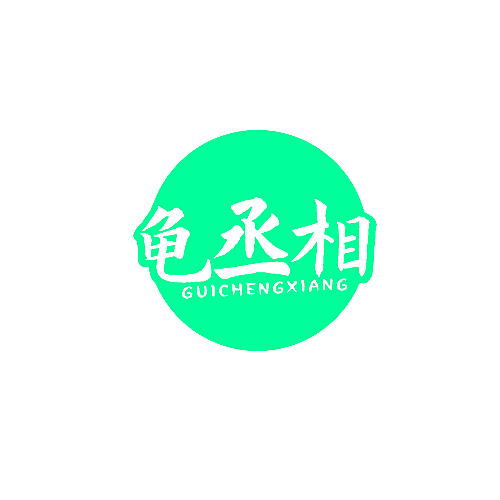 龟丞相