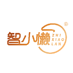 智小懒