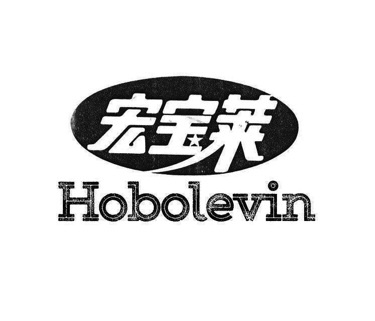 宏寶萊hobolevin