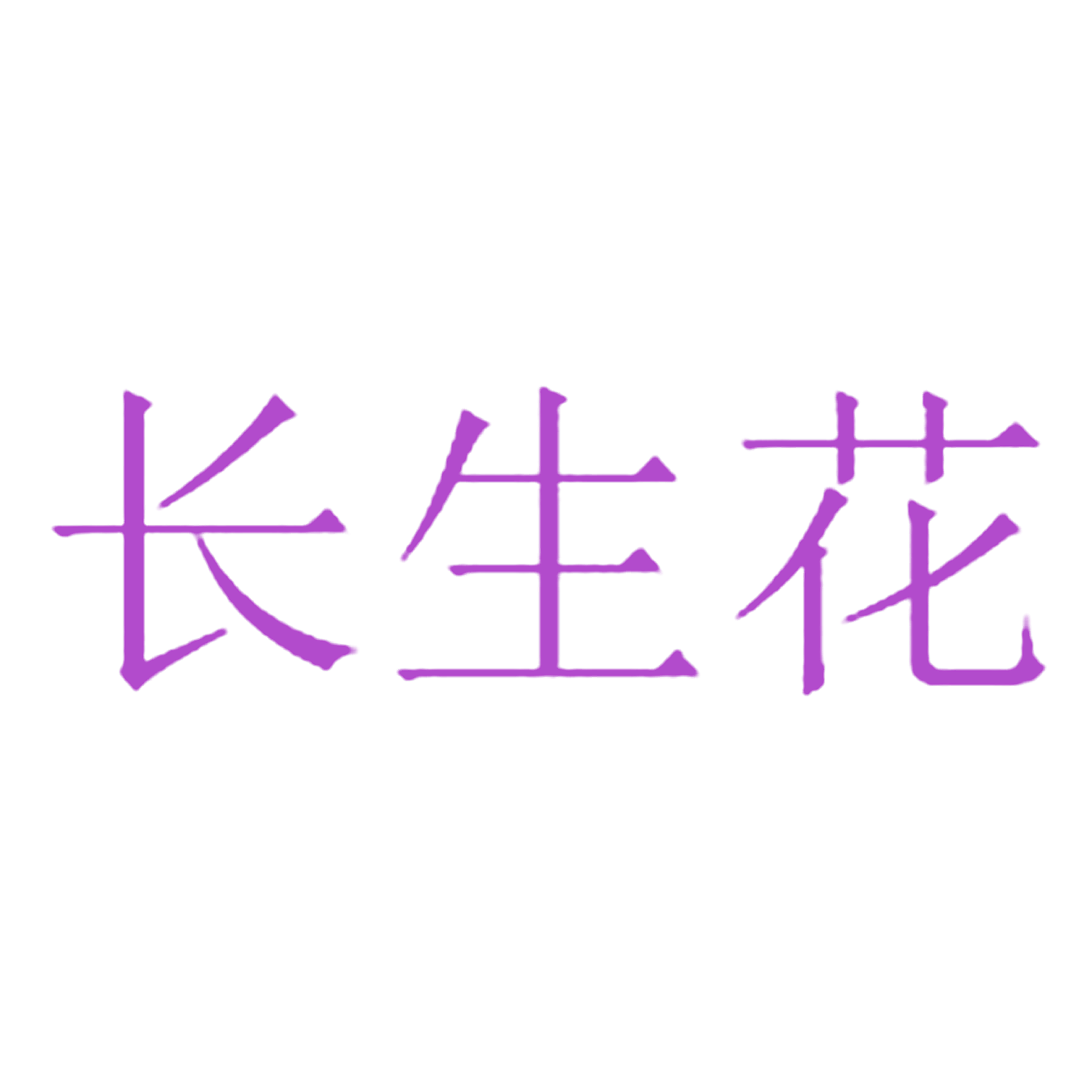 长生花