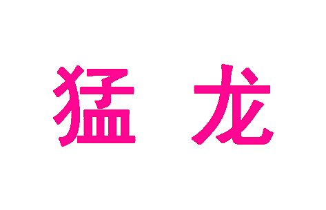 猛龙