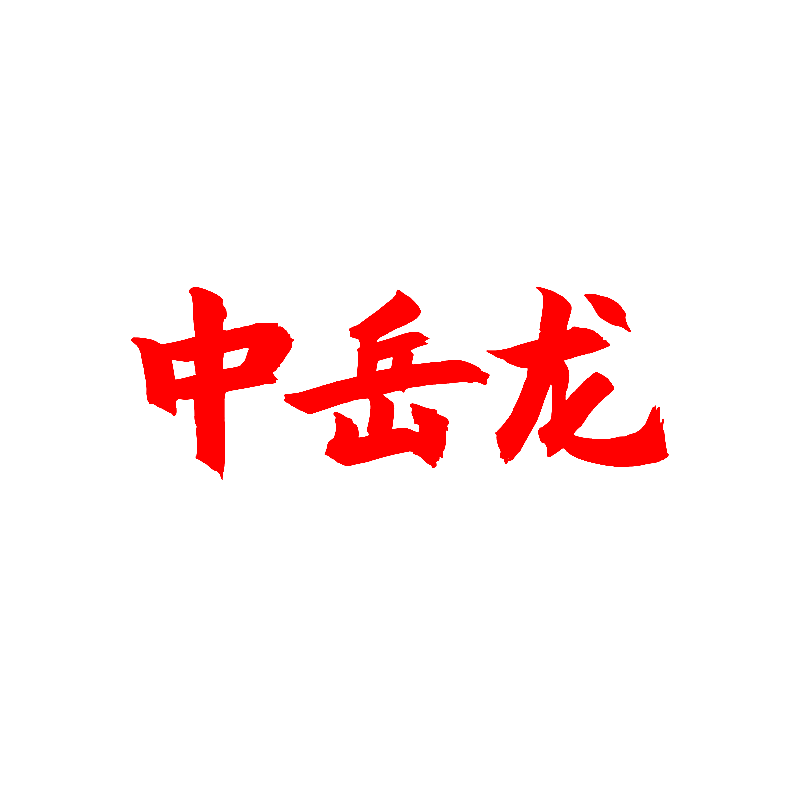 中岳龙