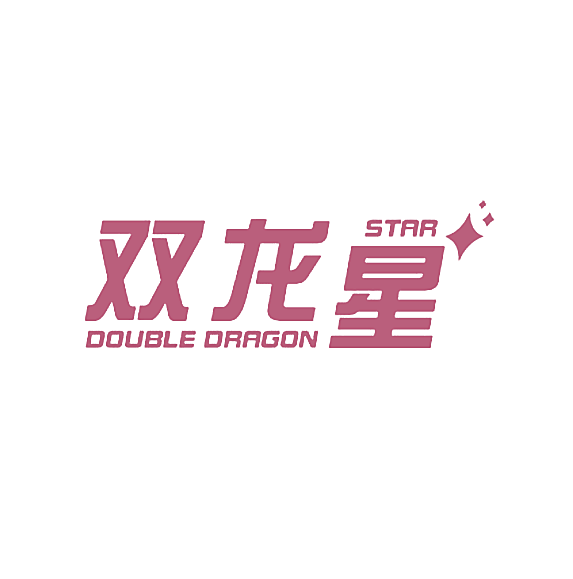 双龙星 DOUBLE DRAGON STAR