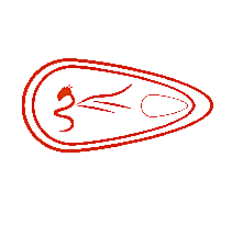 图形