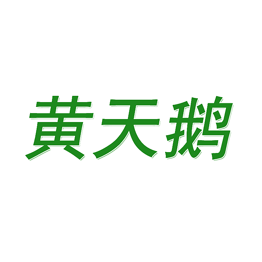 黄天鹅
