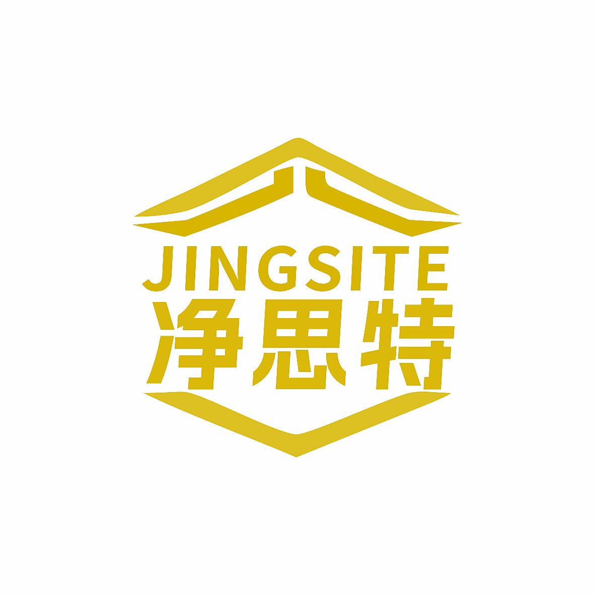 净思特