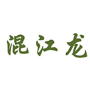 混江龙